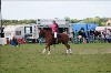 UKPA  NC Sat_1195